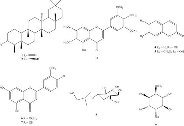 Chemical Constituent